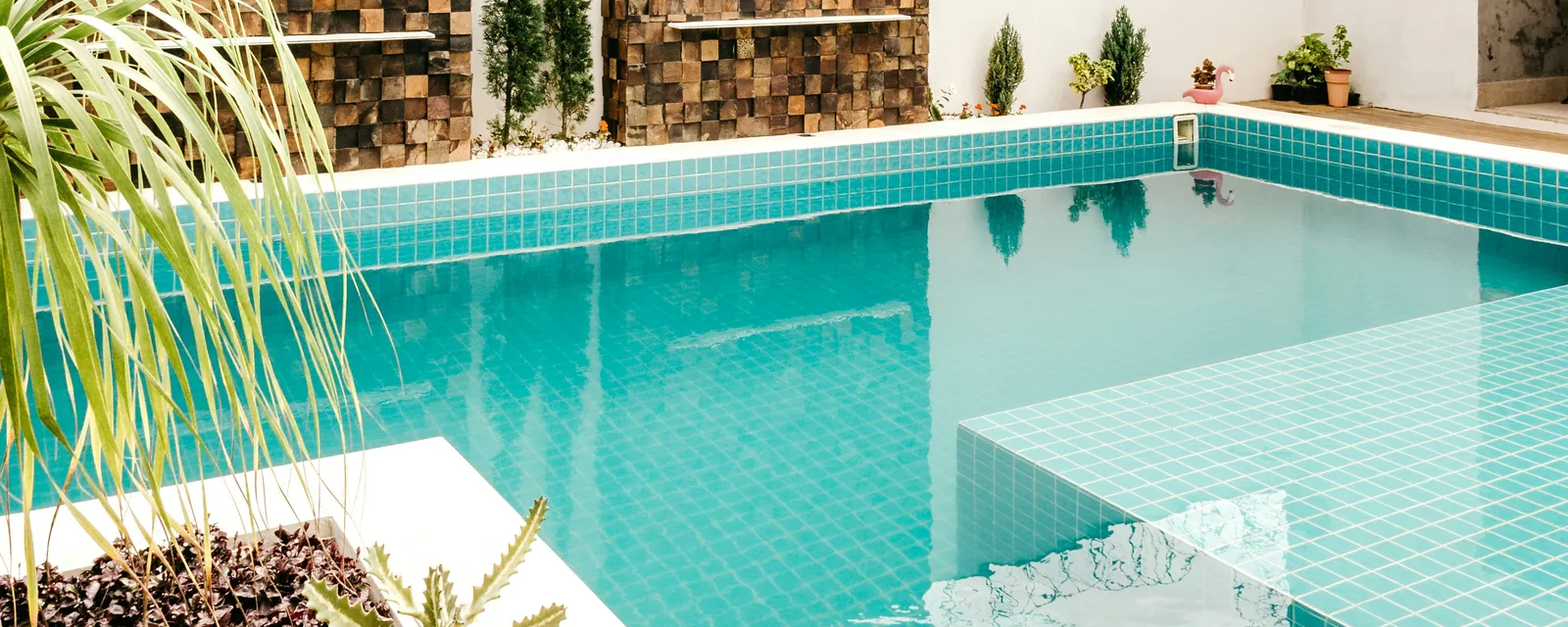 Modern inground pool with wood decking and a tiled feature wall